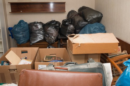 Professional workers performing site clearance