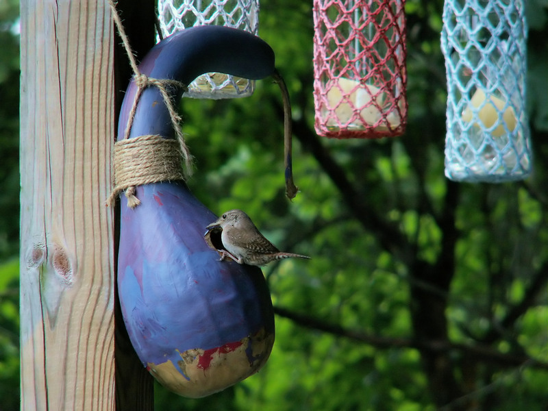 Pre-party Cleaning Checklist to Impress Your Friends